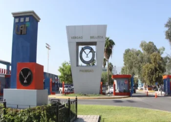 ARRANCARÁ EN AGOSTO CON 13 NUEVAS LICENCIATURAS Ofrecerá UAT nuevas carreras