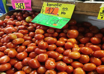 Aranceles no afectarán tomate de Tamaulipas