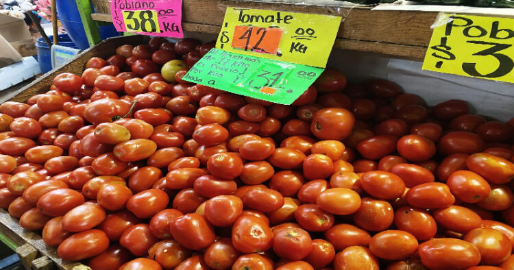 Aranceles no afectarán tomate de Tamaulipas