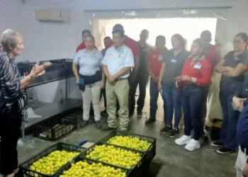 CÁRITAS NUEVO LAREDO Busca ampliar el apoyo alimentario en la Diócesis