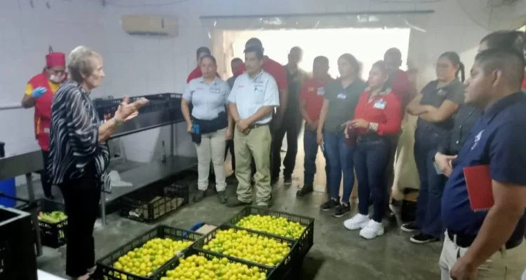 CÁRITAS NUEVO LAREDO Busca ampliar el apoyo alimentario en la Diócesis