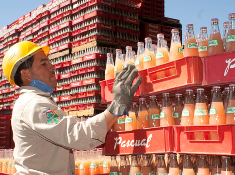 Pondrán primera piedra de planta cooperativa Pascual