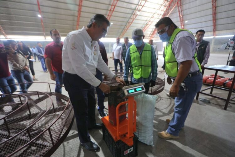 SUPERVISA GOBERNADOR AVANCES Iniciará operaciones empacadora de carbón vegetal “El Bernal”