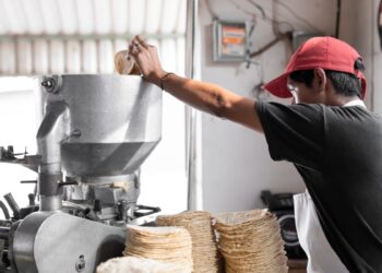 CONFIRMAN PRODUCTORES No habrá aumento en el precio de tortilla de maíz