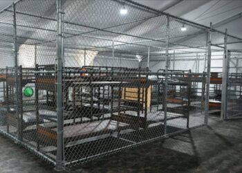 BUSCA GOBIERNO APELACIÓN Jueza ordena el cierre de Alcatraz de los Caimanes