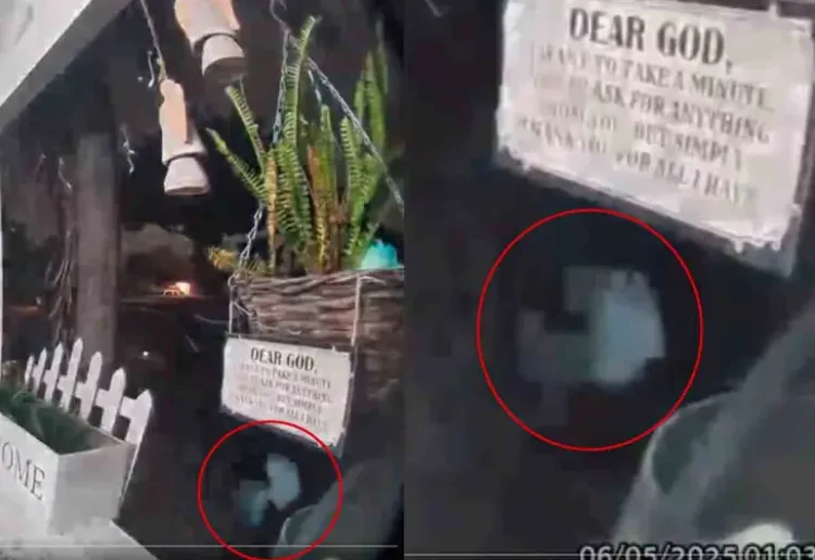 ¿Extraterrestre en su jardín?