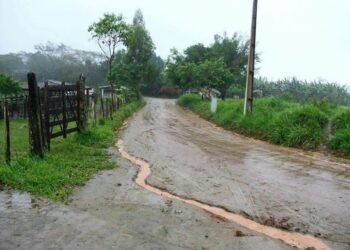 LES DA RESPIRO Lluvias devuelven esperanza al campo ganadero local