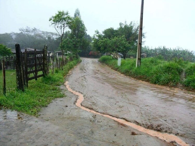 LES DA RESPIRO Lluvias devuelven esperanza al campo ganadero local
