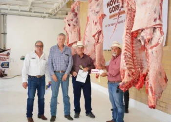Fortalece programa Novillo Gordo a ganaderos locales