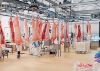 PIDE LE BAJEN LOS PRECIOS Política arancelaria de Trump encarece la carne