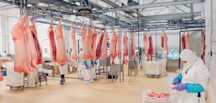 PIDE LE BAJEN LOS PRECIOS Política arancelaria de Trump encarece la carne