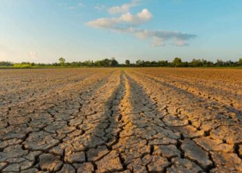 Norte de Tamaulipas sigue sin lluvias suficientes desde agosto