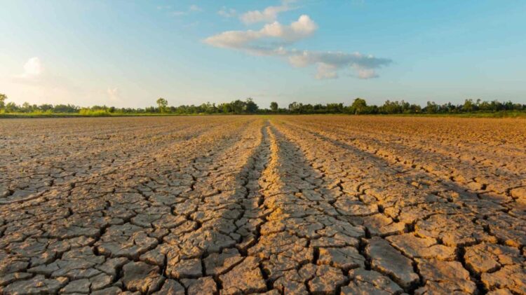 Norte de Tamaulipas sigue sin lluvias suficientes desde agosto