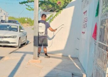 INFESTACIÓN; NIÑOS EN RIESGO Exigen intervención sanitaria por garrapatas en escuela