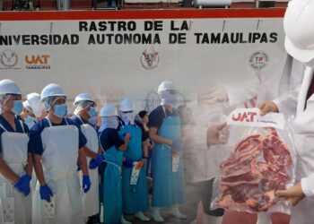 Rastro TIF de la UAT producirá carne para mercado internacional