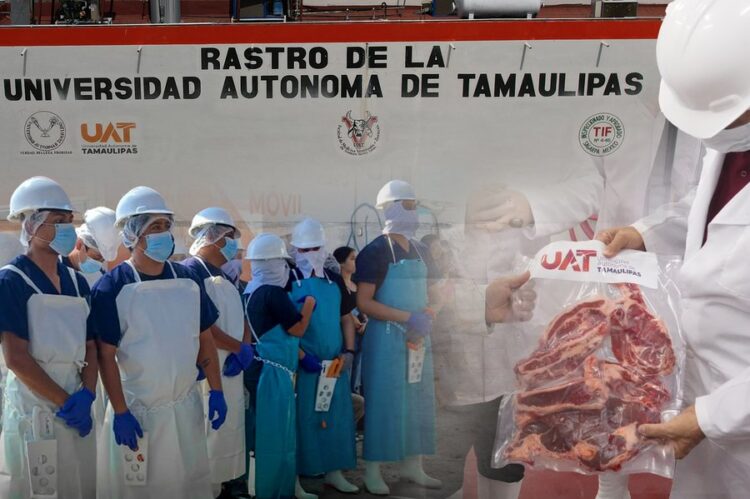 Rastro TIF de la UAT producirá carne para mercado internacional