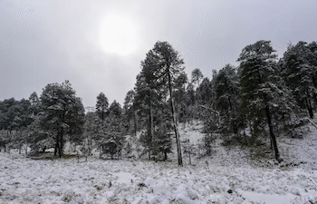 Frente frío entra hoy a México
