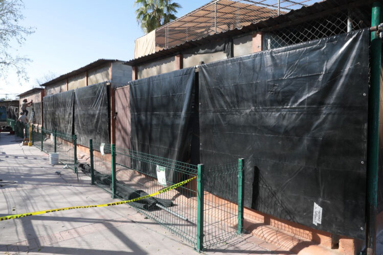 Implementan medidas contra el frío en zoológico