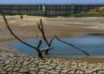 NUEVO LAREDO Continúa sin salvar la sequía