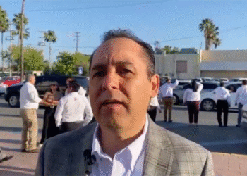 Colocan adornos navideños en NLD