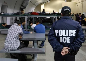 A PARTIR DE ENERO Alguaciles de prisiones trabajarán junto al ICE