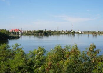 EN EL LAGUITO Atiende PC avistamiento de cocodrilo