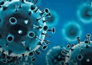 Estos fueron los virus que marcaron el 2025