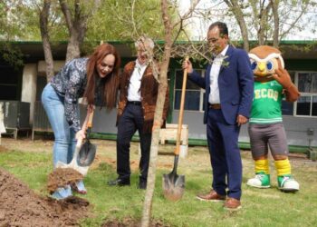 Concluye programa de reforestación