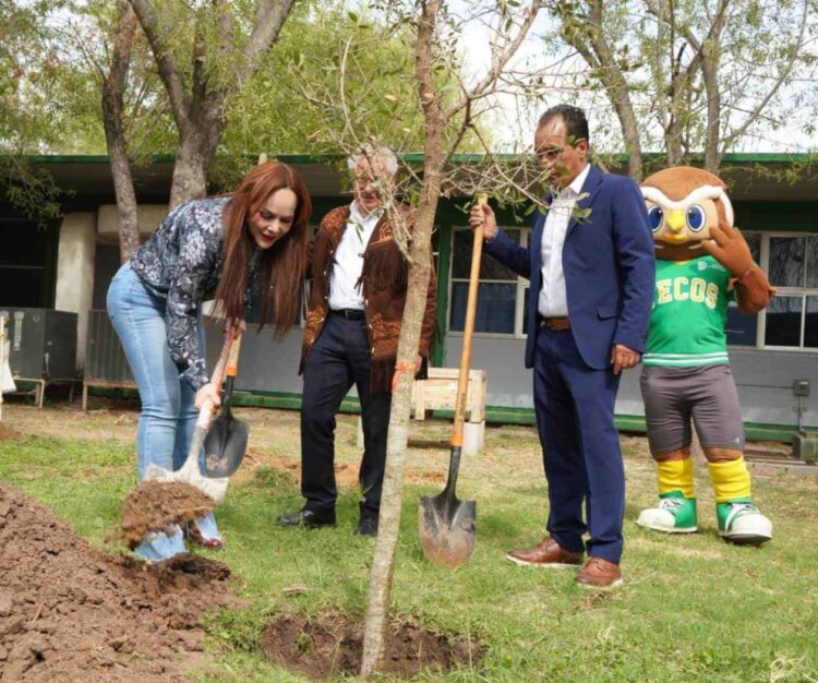 Concluye programa de reforestación