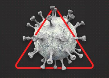 AMENAZAS A LA SALUD MUNDIAL Estos fueron los virus que marcaron el 2025