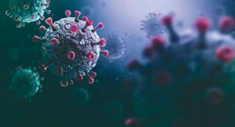 PIDEN PRECAUCIÓN Variante de gripe pone en alerta al mundo