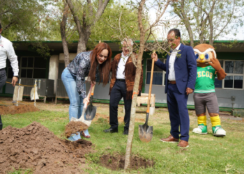 GOBIERNO MUNICIPAL CULMINA CAMPAÑA DE REFORESTACIÓN  2025 CON MÁS DE 3 MIL ÁRBOLES PLANTADOS.