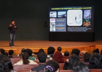 Analiza la UAT interacción entre humanos y cocodrilos