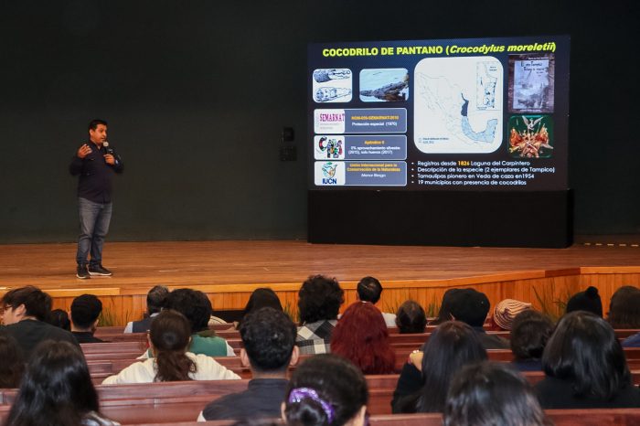 Analiza la UAT interacción entre humanos y cocodrilos