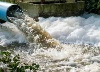 DURANTE ESTUDIO DE RUTINA Detectan sarampión en aguas residuales