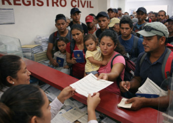 Detectan red de venta de actas de nacimiento