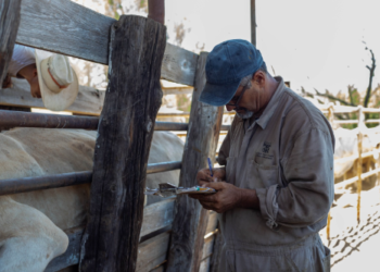 GOBIERNO DE NUEVO LAREDO INVITA A GANADEROS A APROVECHAR PROGRAMA GRATUITO DE SANIDAD ANIMAL