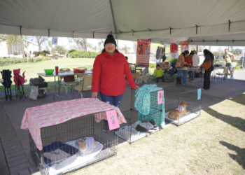 GOBIERNO MUNICIPAL INVITA A LA FERIA DE ADOPCIONES CANINA Y FELINA PARA PROMOVER LA ADOPCIÓN RESPONSABLE