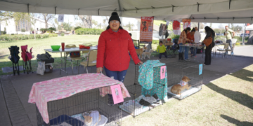 GOBIERNO MUNICIPAL INVITA A LA FERIA DE ADOPCIONES CANINA Y FELINA PARA PROMOVER LA ADOPCIÓN RESPONSABLE