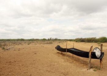 Sufre el campo por falta de agua