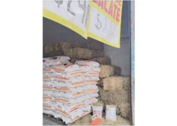 Sequía ‘golpea’ al campo