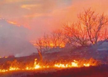 POR ALTAS TEMPERATURAS Alertan por incendios