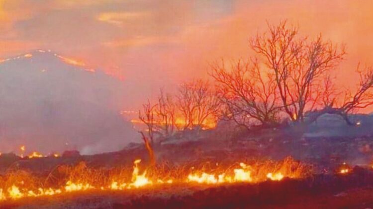 POR ALTAS TEMPERATURAS Alertan por incendios