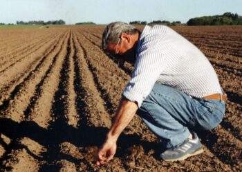 PRENDEN LAS ALERTAS Acuerdo hídrico deja al campo sin riego