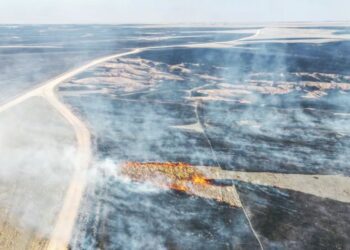 POR INCENDIO DEVASTADOR Sanciona Texas a empresa de energía