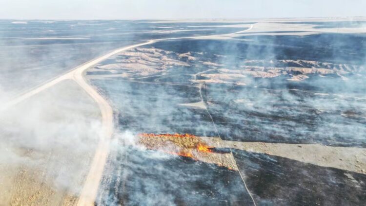 POR INCENDIO DEVASTADOR Sanciona Texas a empresa de energía
