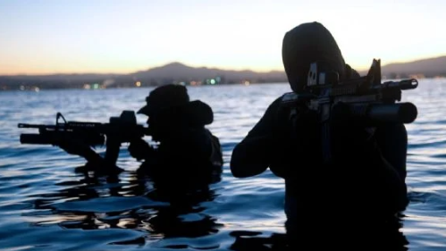 Autorizan ingreso de Navy SEALs