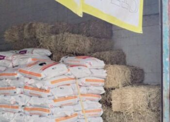 Sequía ‘golpea’ al campo