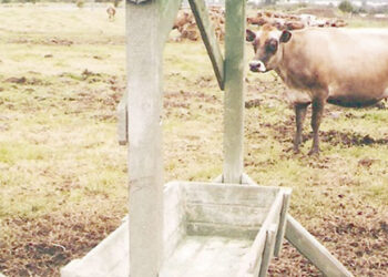 Se agrietan presas en ranchos por sequía