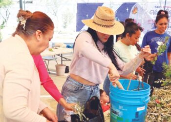 INSTITUTO MUNICIPAL DE LA MUJER Concluye con éxito taller de lombricomposta